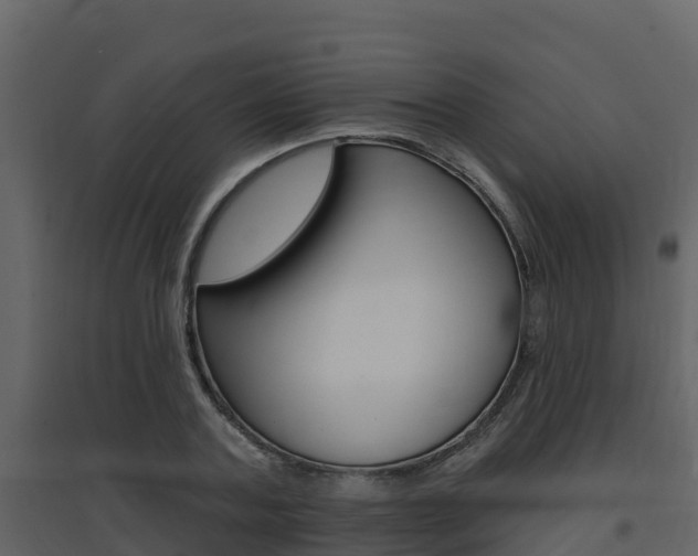X0000097850787200803140856
