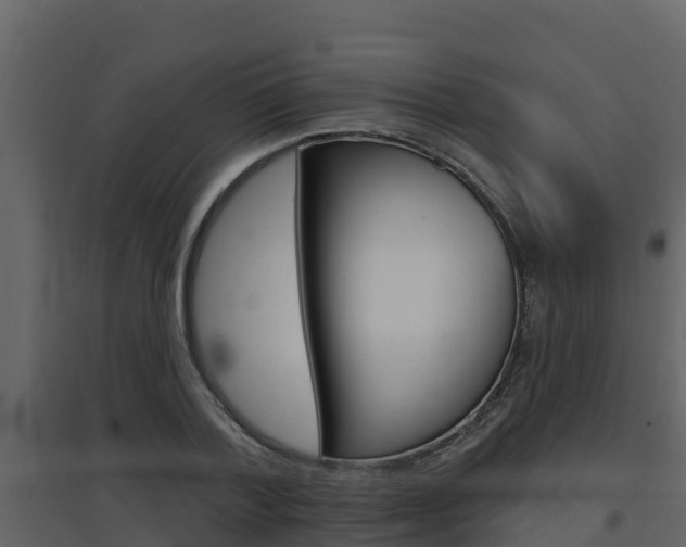X0000097850788200803140856