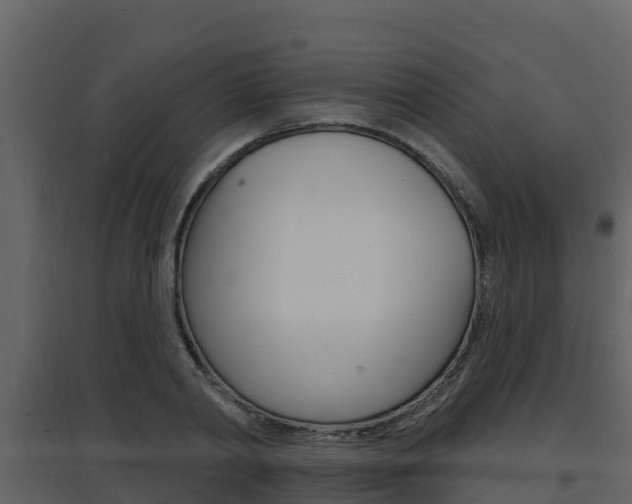 X0000097850790200803140856