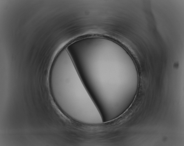 X0000097850791200803140856