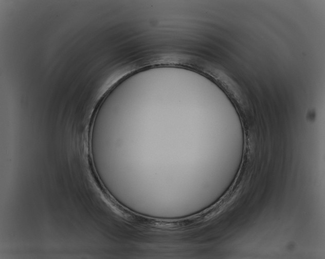 X0000097850794200803140856