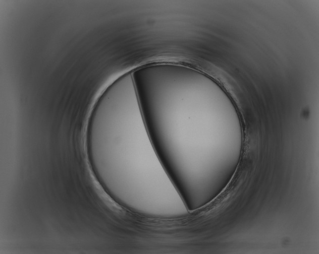 X0000097850795200803140856