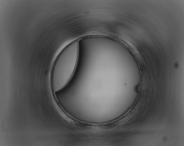 X0000097850796200803140856