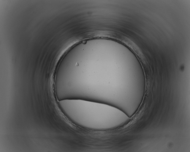 X0000097850798200803140855