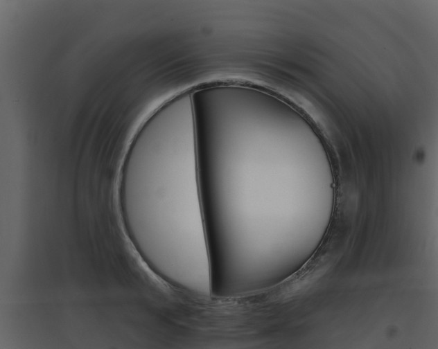 X0000097850799200803140855