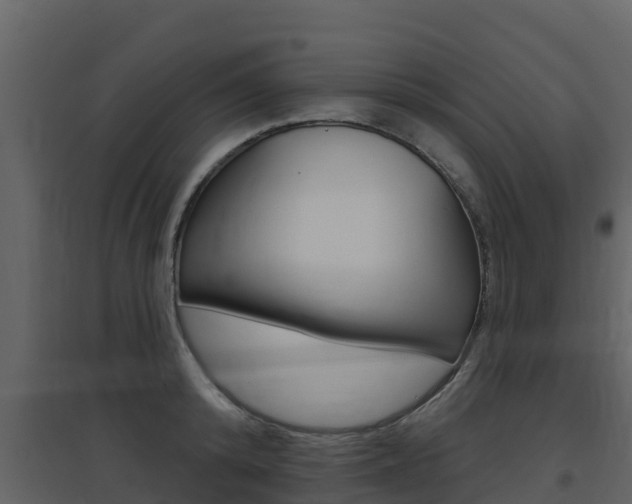 X0000097850800200803140855