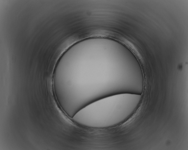 X0000097850802200803140855