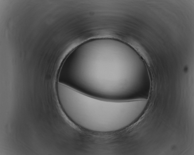 X0000097850805200803140855