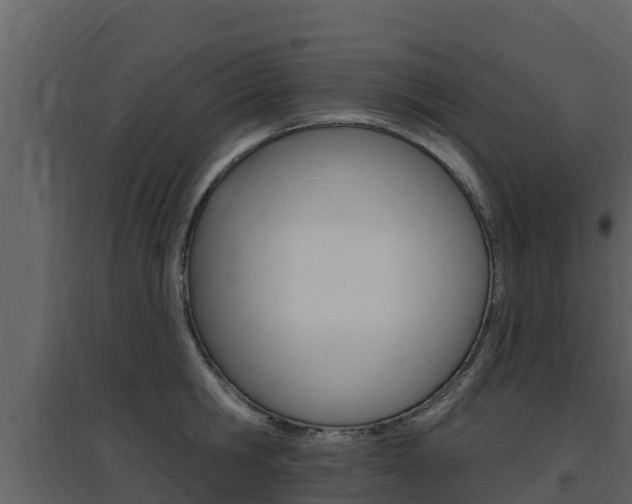X0000097850806200803140855