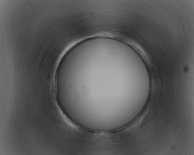 X0000097850808200803140855