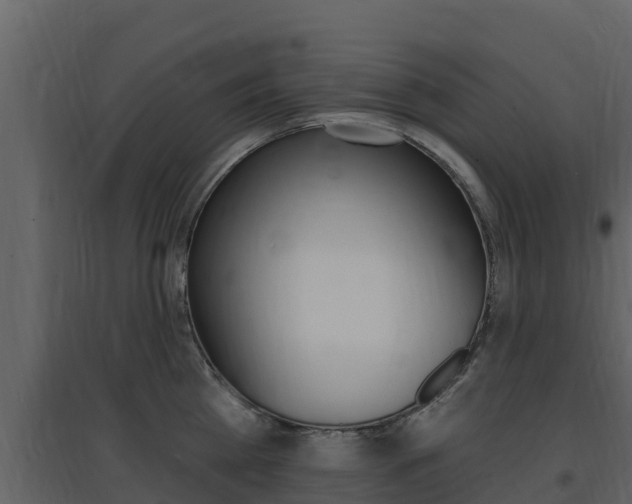 X0000097850809200803140855