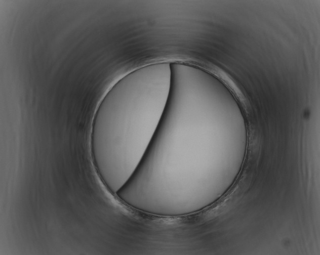 X0000097850810200803140855