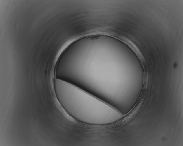 X0000097850812200803140855