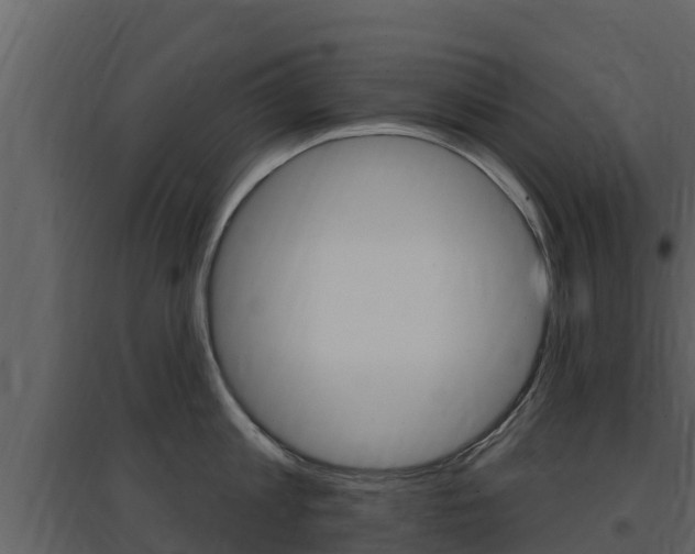 X0000097850813200803140855