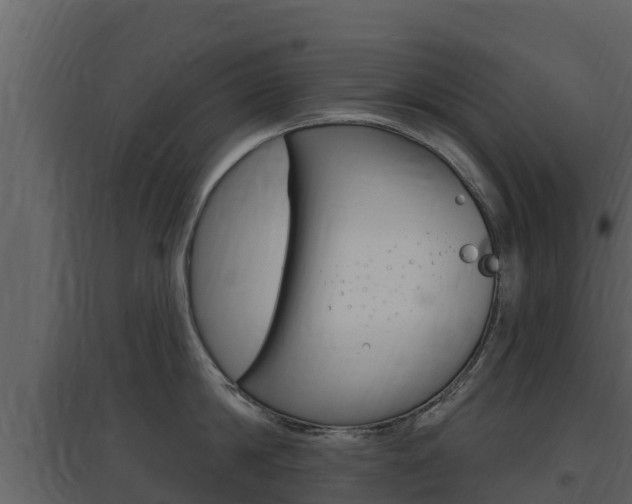 X0000097850814200803140855