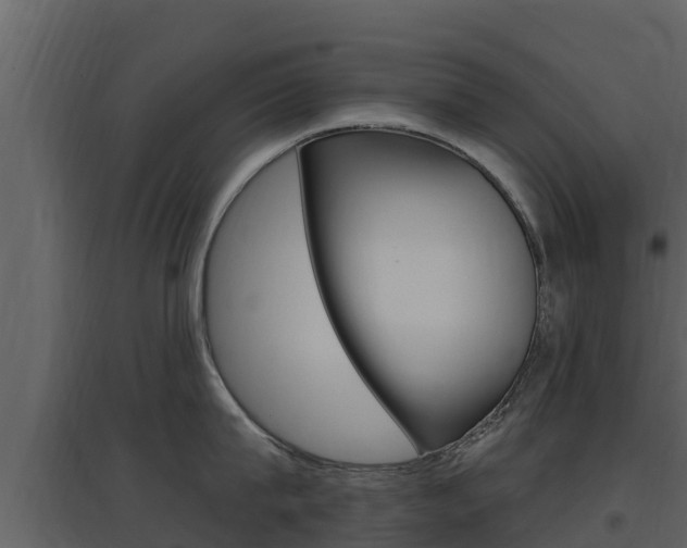 X0000097850815200803140855