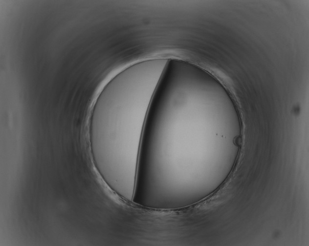 X0000097850816200803140855