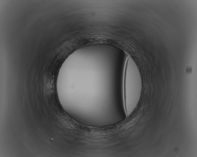 X0000097850818200803140854