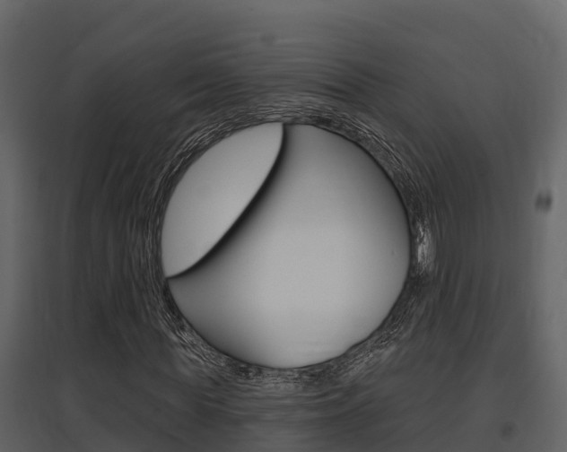 X0000097850819200803140854