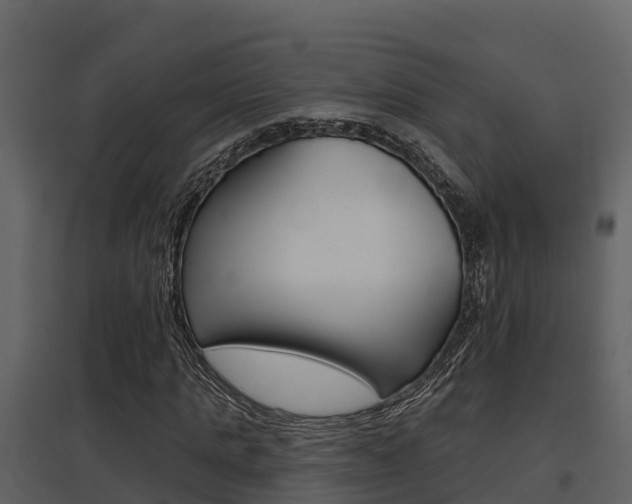 X0000097850821200803140854