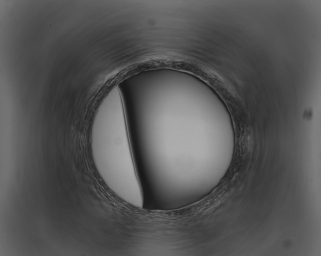 X0000097850822200803140854