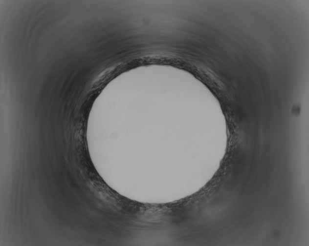 X0000097850824200803140854