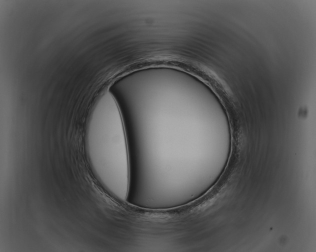 X0000097850825200803140855