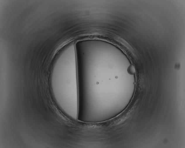 X0000097850826200803140855