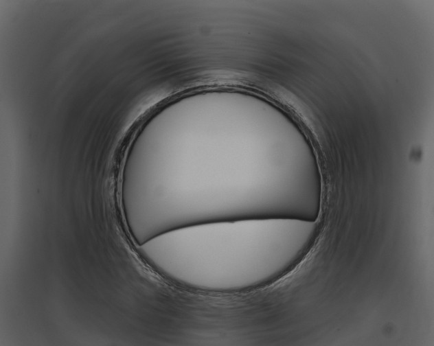 X0000097850827200803140855