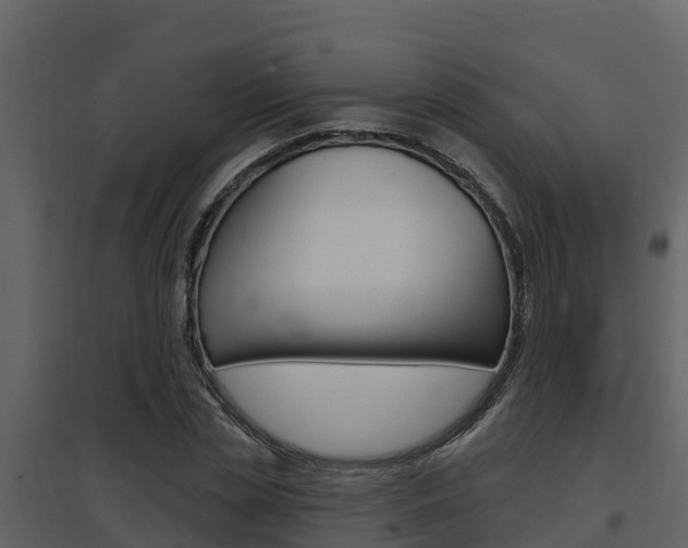X0000097850829200803140855