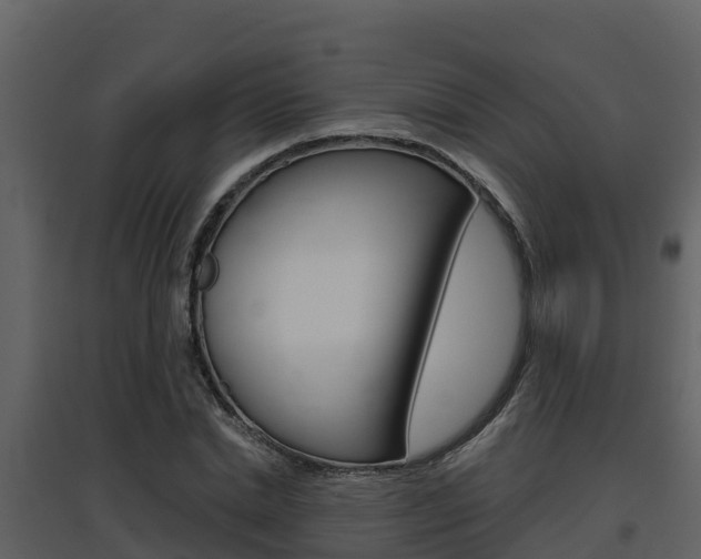 X0000097850830200803140855