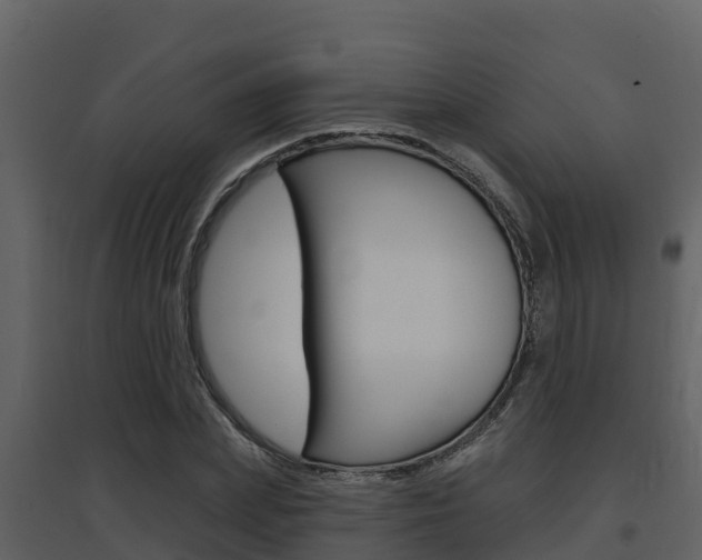 X0000097850831200803140855