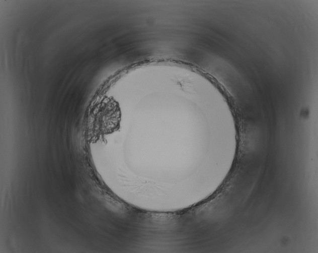 X0000097850832200803140855