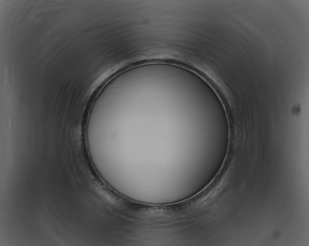X0000097850834200803140855