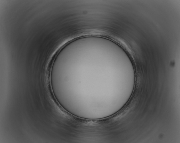 X0000097850835200803140855
