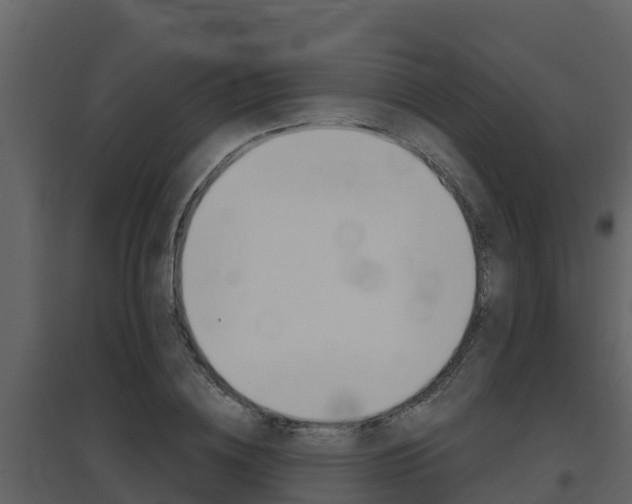 X0000097850836200803140855