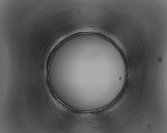 X0000097850837200803140855