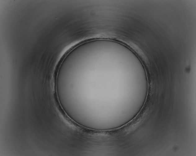 X0000097850838200803140855