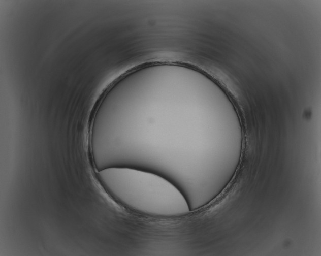 X0000097850839200803140855