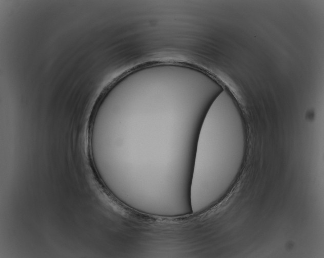 X0000097850840200803140855