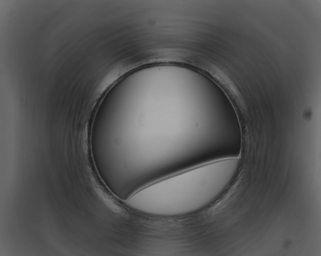 X0000097850842200803140855