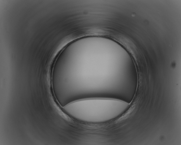 X0000097850843200803140855