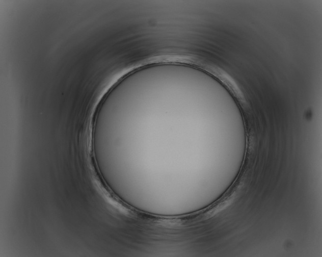 X0000097850844200803140855