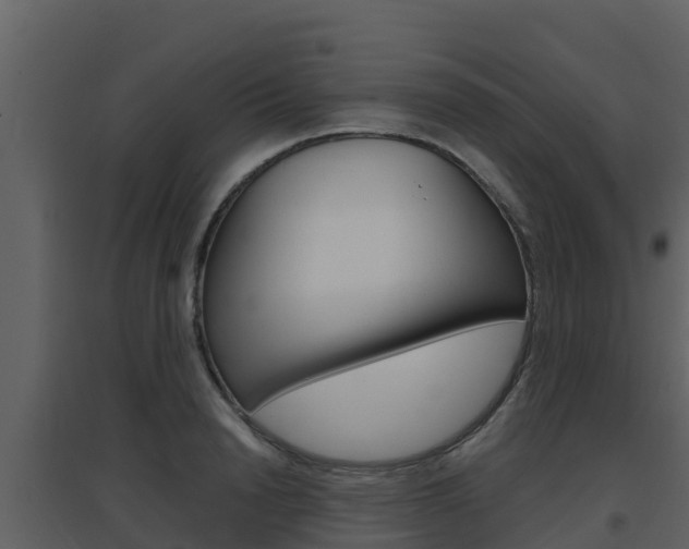 X0000097850846200803140855