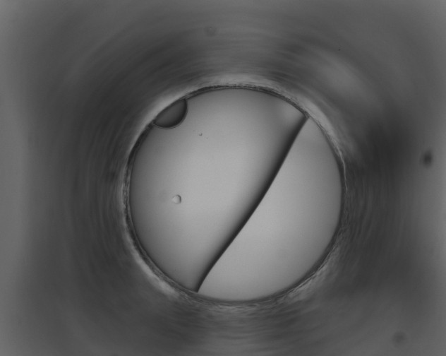 X0000097850847200803140855
