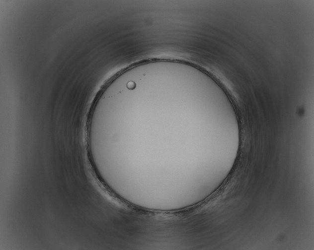 X0000097850848200803140855