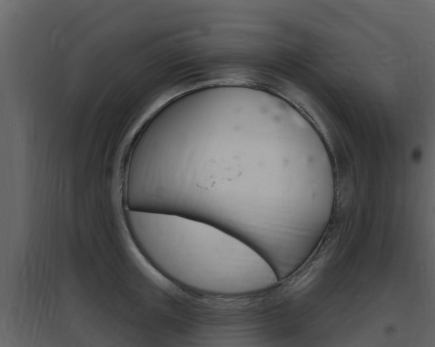 X0000097850851200803140855
