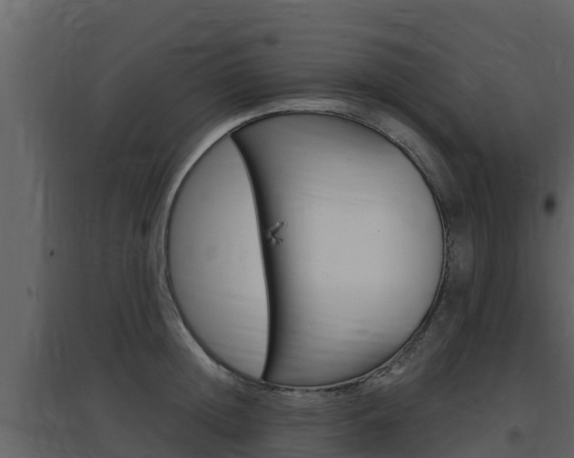 X0000097850852200803140855