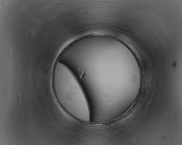 X0000097850853200803140855
