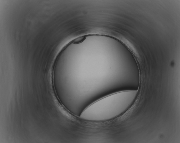 X0000097850854200803140855